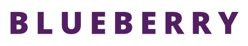 Blueberry title logo in stylized typography for narrative puzzle platformer