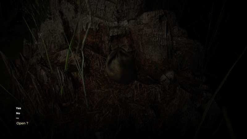 Minimal interface screen during first-person exploration in the forest