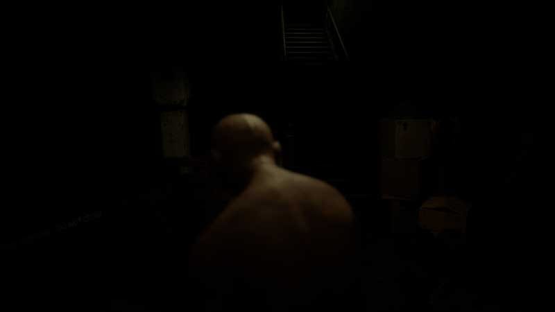 Forest environment view showing subtle spatial distortion and lighting shifts