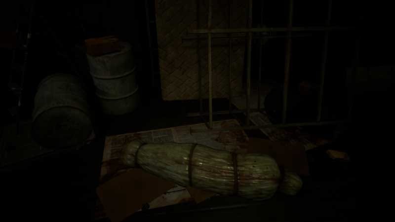 First-person view showing sudden environmental change in the forest atmosphere