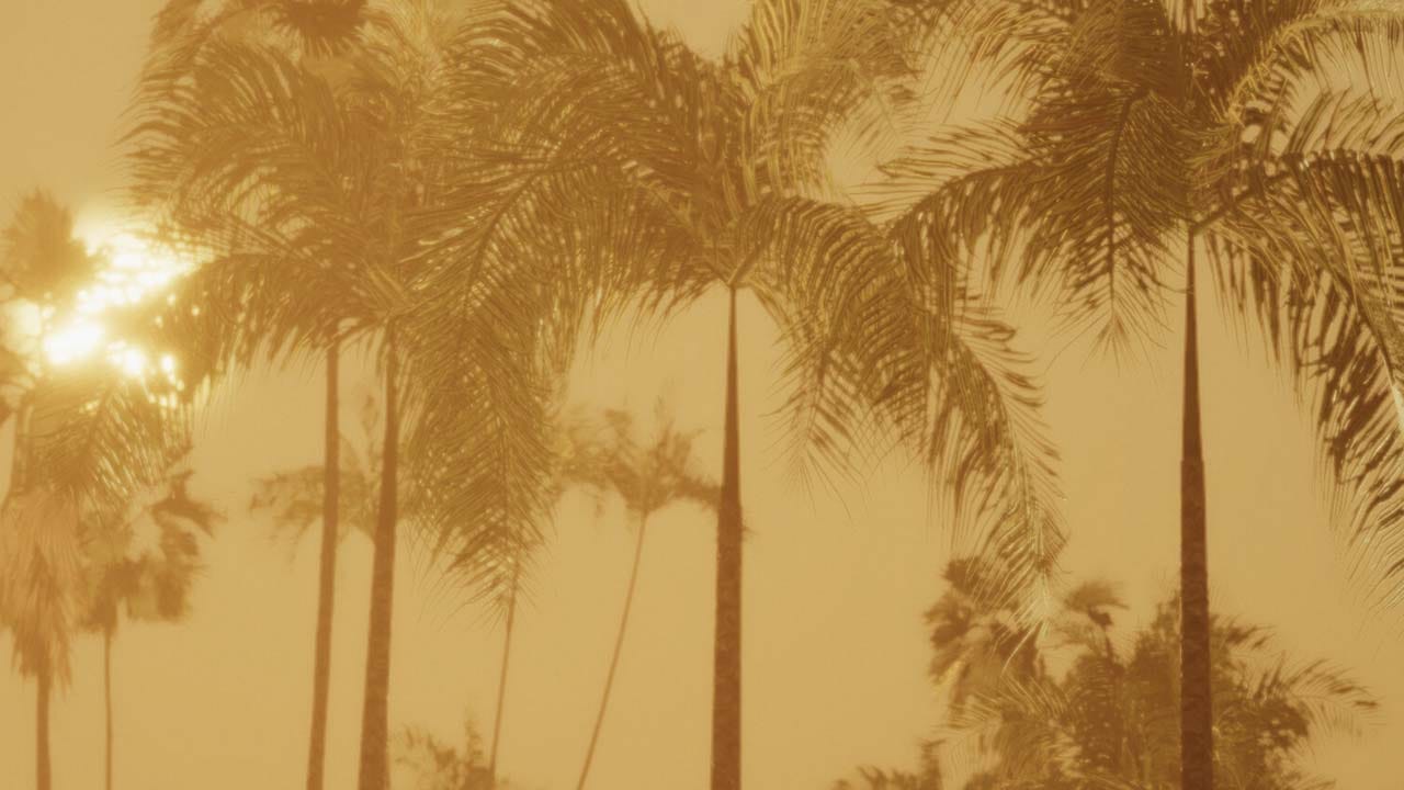 Miami Hotel Simulator background image