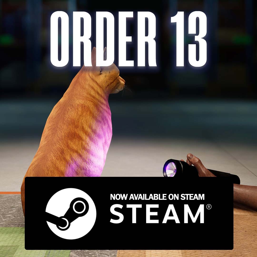 Order 13 on Steam – promotional game image