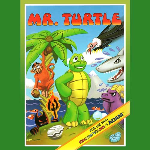 Mr. Turtle