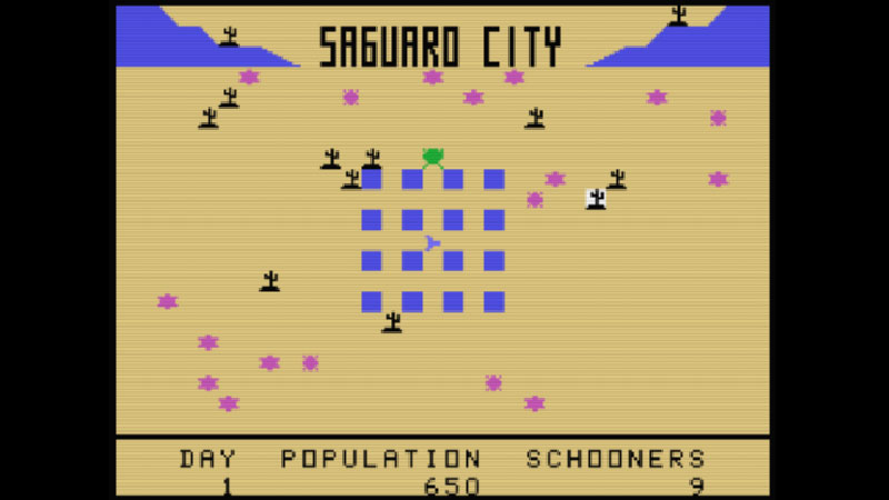 Saguaro City