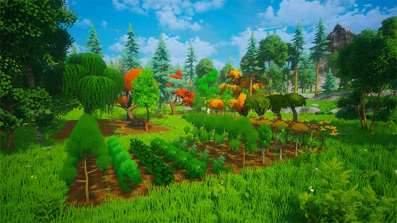 my-money-grows-on-trees