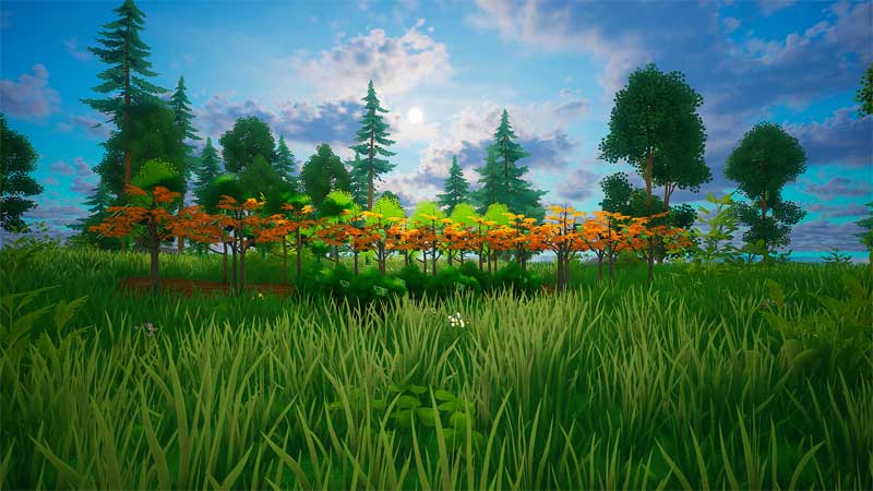 my-money-grows-on-trees